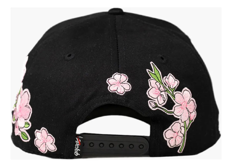 SAKURA Problematic
