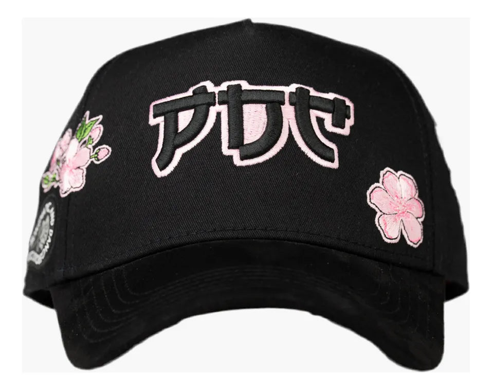 SAKURA Problematic