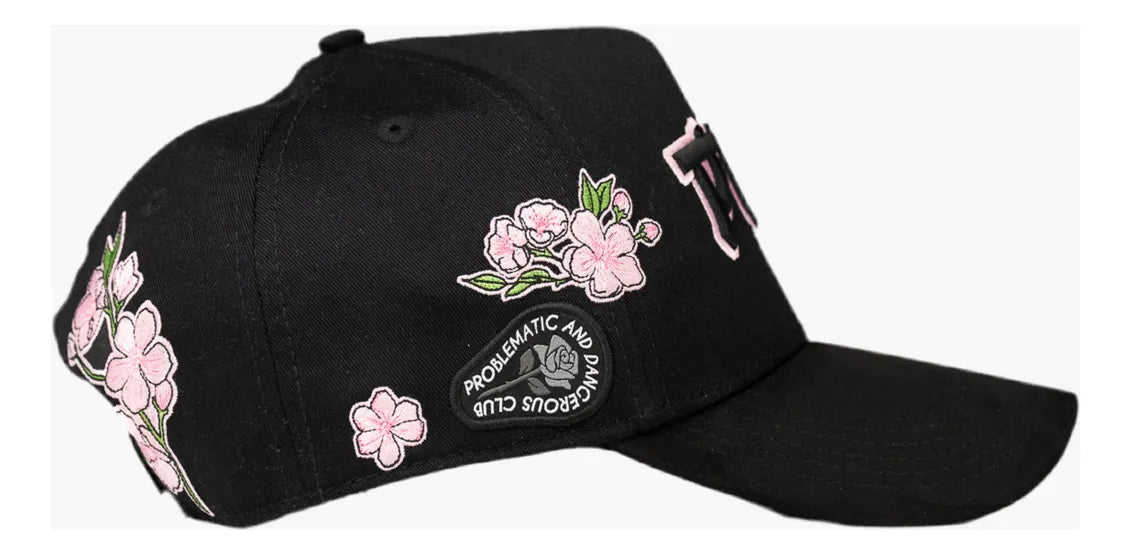 SAKURA Problematic
