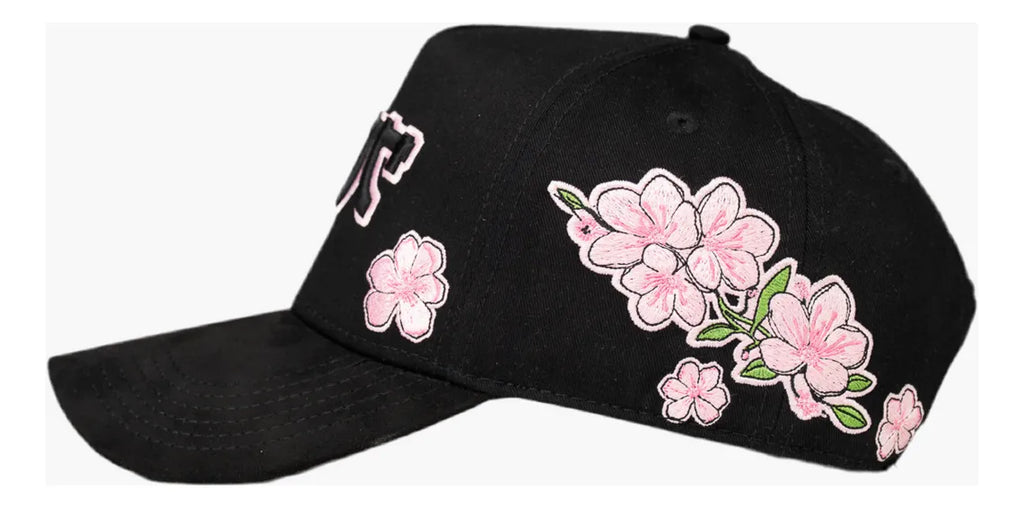 SAKURA Problematic
