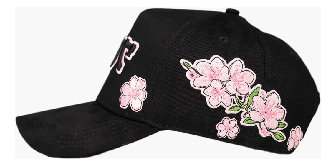 SAKURA Problematic